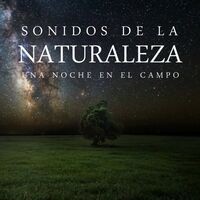 Sonidos de la Naturaleza: una Noche en el Campo