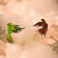 Beautiful Birds (Instrumental)