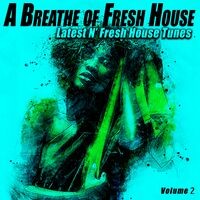 A Breathe of Fresh House, Vol.2 - Latest N' Fresh House Tunes (Album)