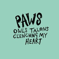 Owls Talons Clenching My Heart