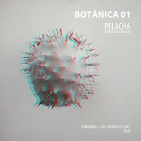 Pelacha - Botánica 01
