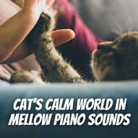 Cat's Calm World in Mellow Piano Sounds