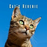 Cat's Reverie: Meditative Piano for a Serene Cat Experience