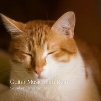 Guitar Music with Rain: Slumber Time for Cats