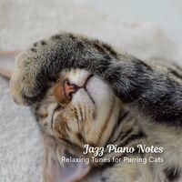 Jazz Piano Notes: Relaxing Tunes for Purring Cats