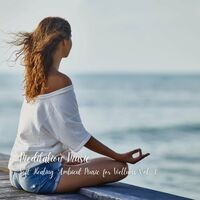 Meditation Music: Soft Healing Ambient Music for Wellness Vol. 1