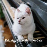 Relaxing Piano Music for Cats
