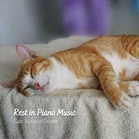 Rest in Piano Music: Cats Sweetest Dreams