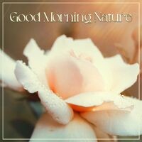 Good Morning Nature: Day of Hope and Happiness (Gentle and Calm Piano)