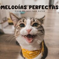 Melodías Perfectas: Piano De Jazz Para Gatos
