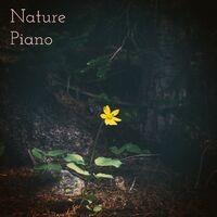 Nature Piano