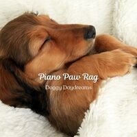 Piano Paw Rag: Doggy Daydreams