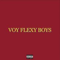 Voy Flexy Boys