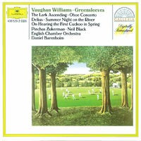 Vaughan Williams: Fantasia On 