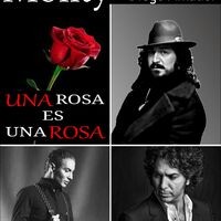 Una Rosa Es Una Rosa