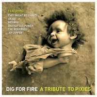 Dig for Fire: a Tribute to Pixies