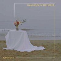 Hammock in the Wind