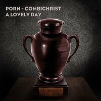 A Lovely Day (Combichrist Remix)