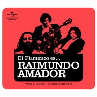 Flamenco es... Raimundo Amador