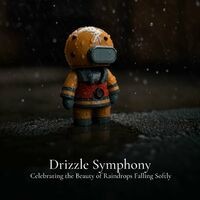 #01 Drizzle Symphony, Celebrating the Beauty of Raindrops Falling Softly