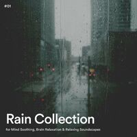 #01 Rain Collection for Mind Soothing, Brain Relaxation & Relaxing Soundscapes