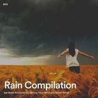 #01 Rain Compilation for Quiet Relaxation, Clearing Your Mind and Stress Relief