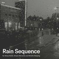 #01 Rain Sequence for Stress Relief, Simple Moments and Mindful Sleeping