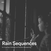 #01 Rain Sequences for Creating a Calming and Peaceful Atmosphere