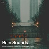 #01 Rain Sounds for Improving Mood, Regenerating the Mind and Solitude
