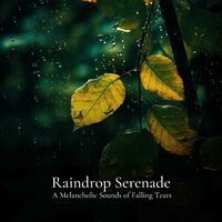 #01 Raindrop Serenade, A Melancholic Sounds of Falling Tears