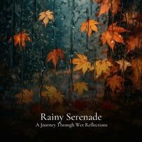 #01 Rainy Serenade, A Journey Through Wet Reflections