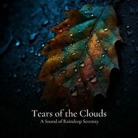 #01 Tears of the Clouds, A Sound of Raindrop Serenity