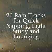 26 Rain Tracks for Quick Napping, Light Study and Lounging