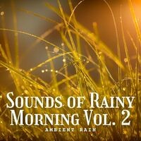 Ambient Rain: Sounds of Rainy Morning Vol. 2