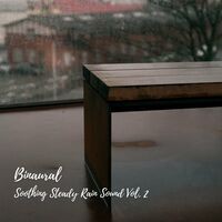 Binaural: Soothing Steady Rain Sound Vol. 2