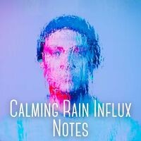 Calming Rain Influx Notes