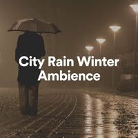 City Rain Winter Ambience