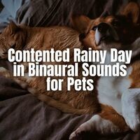 Contented Rainy Day in Binaural Sounds for Pets