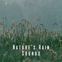 Nature's Rain Sounds