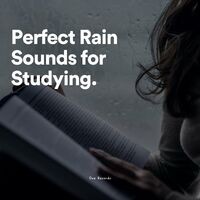 Perfect Rain Sounds for Studying