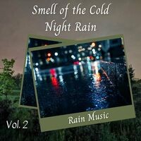 Rain Music: Smell of the Cold Night Rain Vol. 2