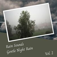 Rain Sounds Gentle Night Rain Vol. 2