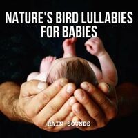 Rain Sounds: Nature's Bird Lullabies for Babies