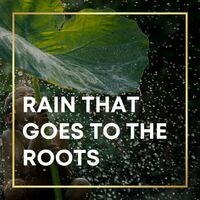 Rain That Goes to the Roots