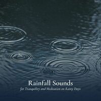 Rainfall Sounds for Tranquility and Meditation on Rainy Days