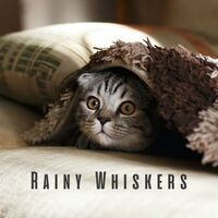 Rainy Whiskers: Brown Noise for Serene Cats