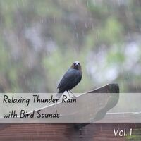 Relaxing Thunder Rain with Bird Sounds Vol. 1 - 3 Hours