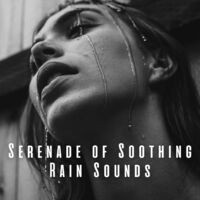 Serenade of Soothing Rain Sounds