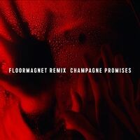 Champagne Promises (Floormagnet Remix)