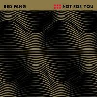 Not for You - Single